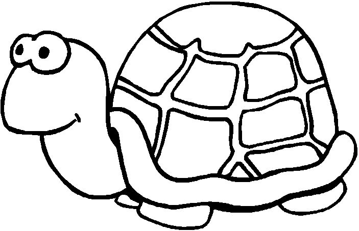 Żółwie kolorowanki